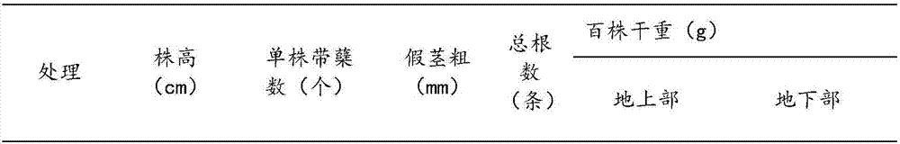 Growth-promoting granule for mechanical direct sowing of rice and preparation method and application thereof