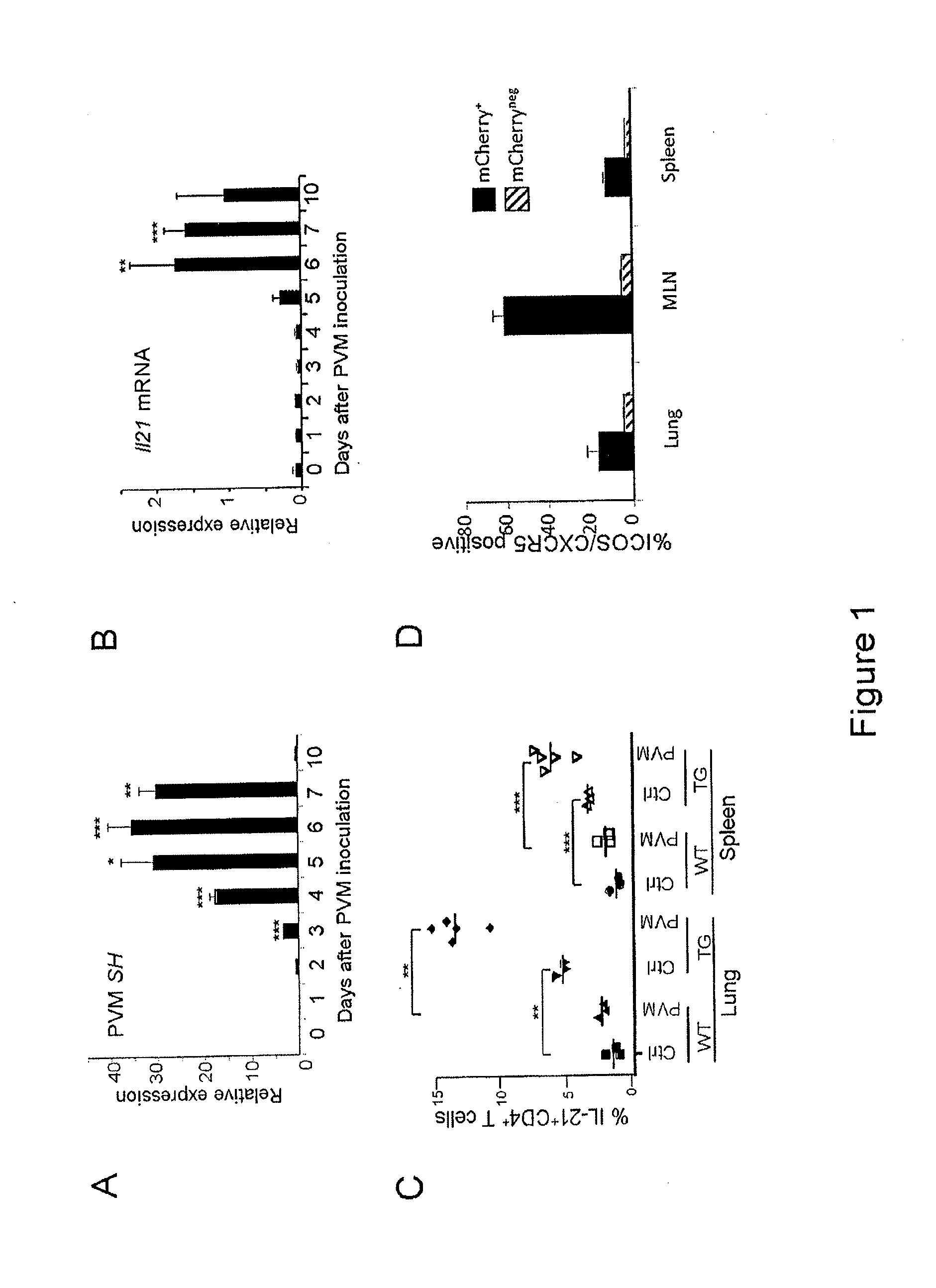 Methods of treating or preventing viral diseases by blocking interleukin-21