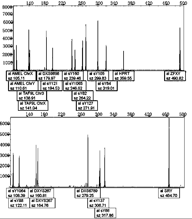 Primer composition for detecting Y chromosome microdeletion and sex chromosome number and application