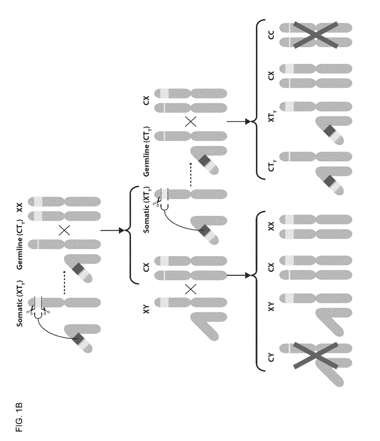 DNA sequence modification-based gene drive