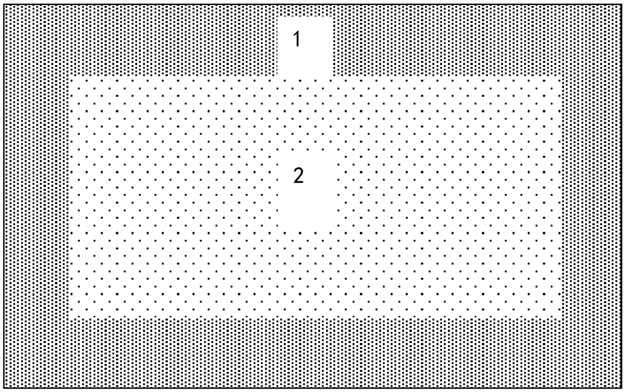 Thermoplastic polyurethane elastomer foam material having density gradient, and preparation method thereof