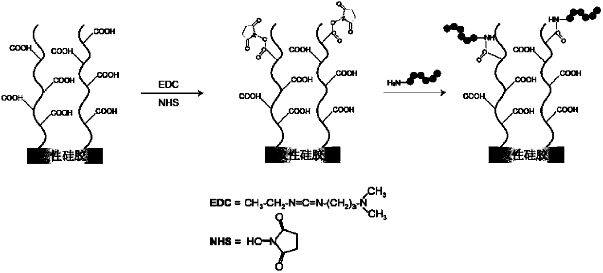 Polypeptide as well as detection device and detection reagent kit comprising polypeptide