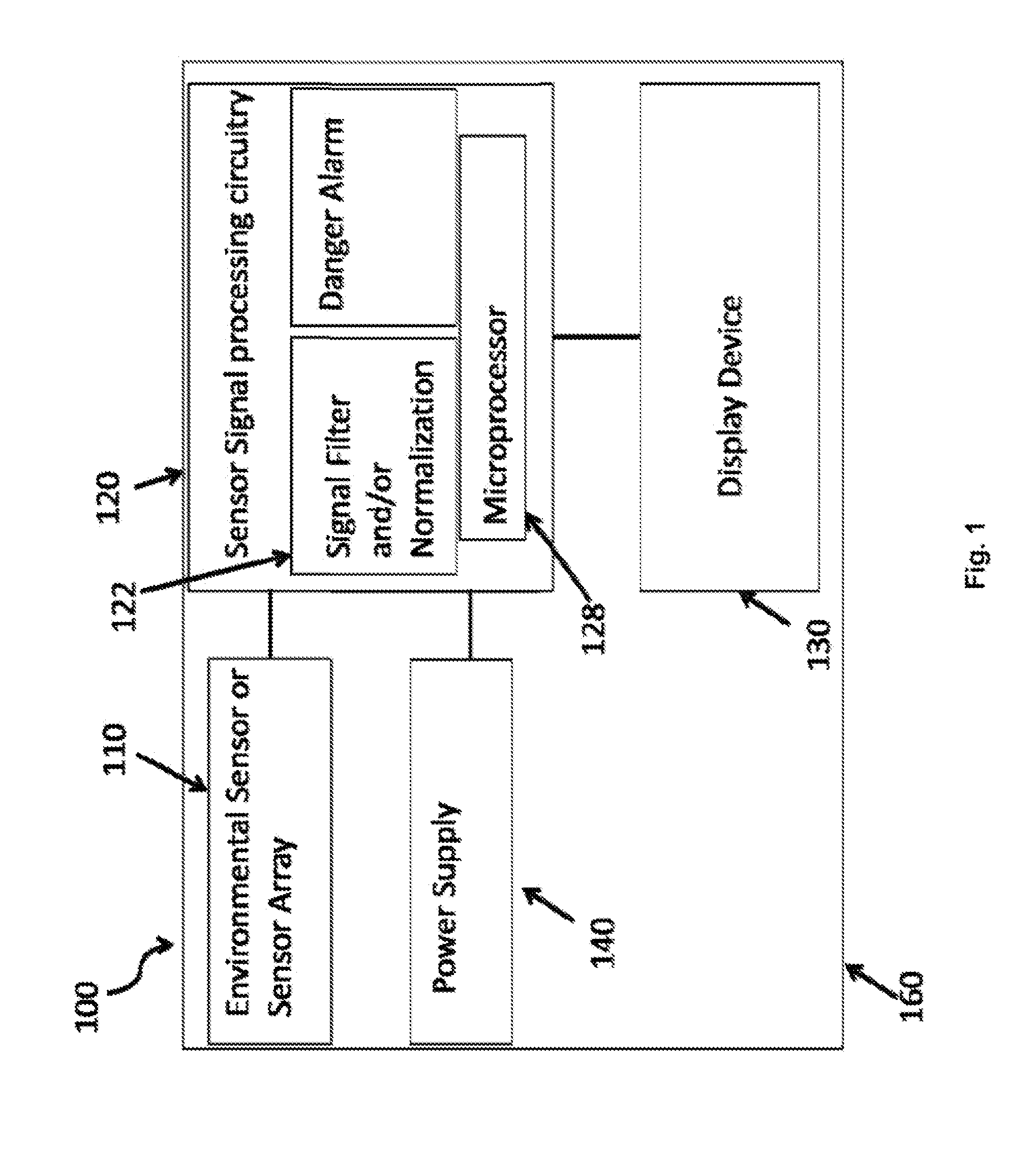 Environmental measurement display system and method