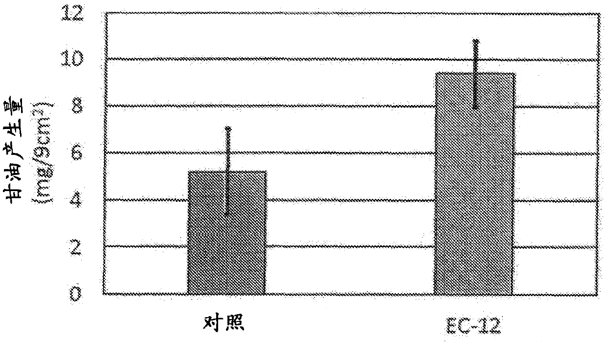 GLYCEROL PRODUCTION PROMOTER DERIVED FROM Staphylococcus Epidermidis, ANTIMICROBIAL PEPTIDE PRODUCTION PROMOTER DERIVED FROM SKIN EPIDERMAL KERATINOCYTES, AND UTILIZATION THEREOF IN EXTERNAL PREPARATION FOR SKIN PROTECTION