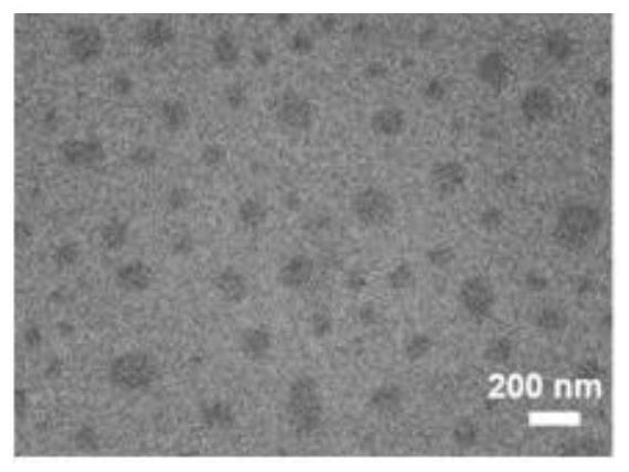 Active targeting amphiphilic polypeptide composite nanomicelle prodrug and its preparation and application