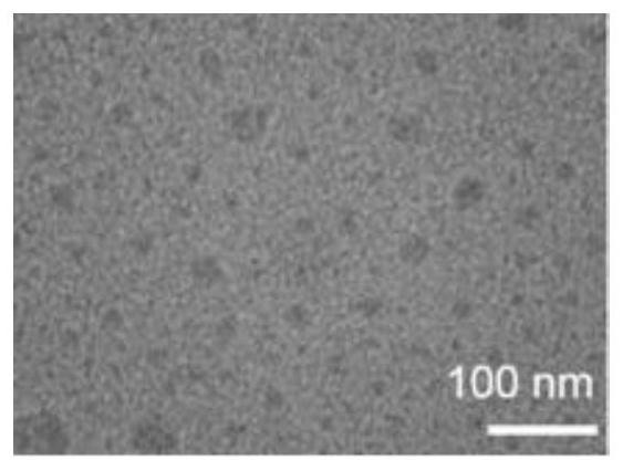 Active targeting amphiphilic polypeptide composite nanomicelle prodrug and its preparation and application