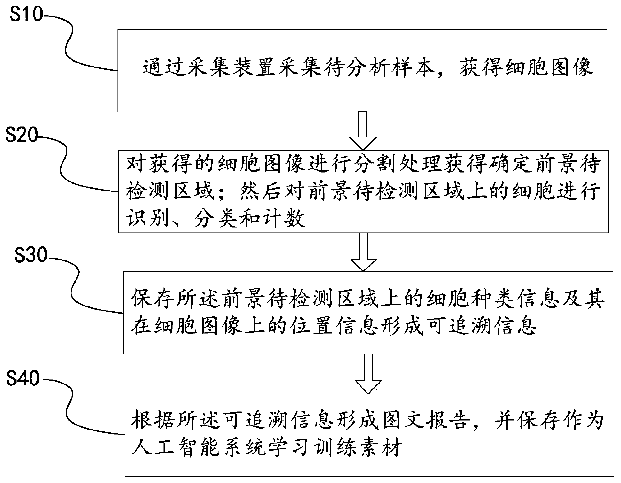 Artificial intelligence identification method for peripheral hemolymph micronucleus cell image