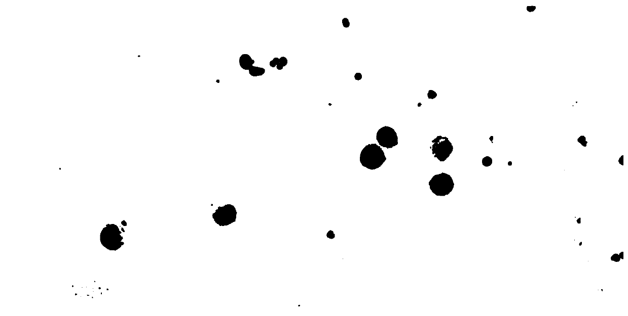 Artificial intelligence identification method for peripheral hemolymph micronucleus cell image