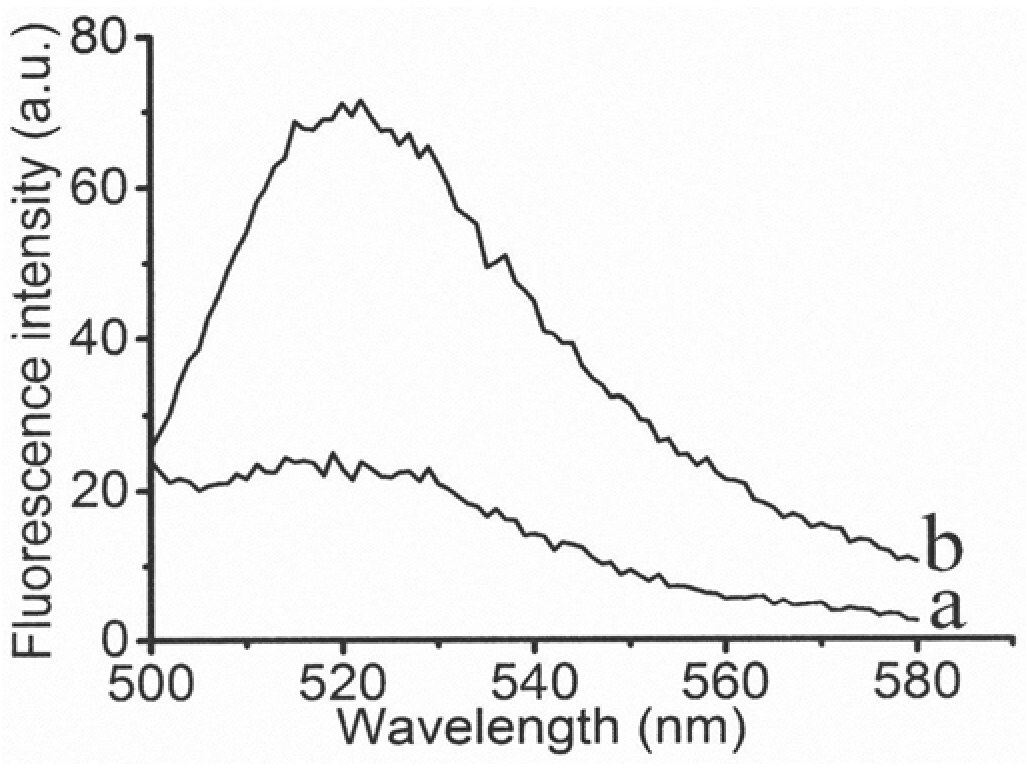 MicroRNA biosensor coupling 3D DNA walking machine with catalytic hairpin assembly