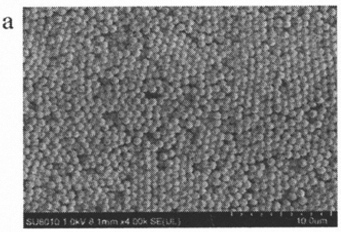 MicroRNA biosensor coupling 3D DNA walking machine with catalytic hairpin assembly