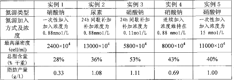 Culture method for improving golden algae biomass and grease content by using nitrogen source