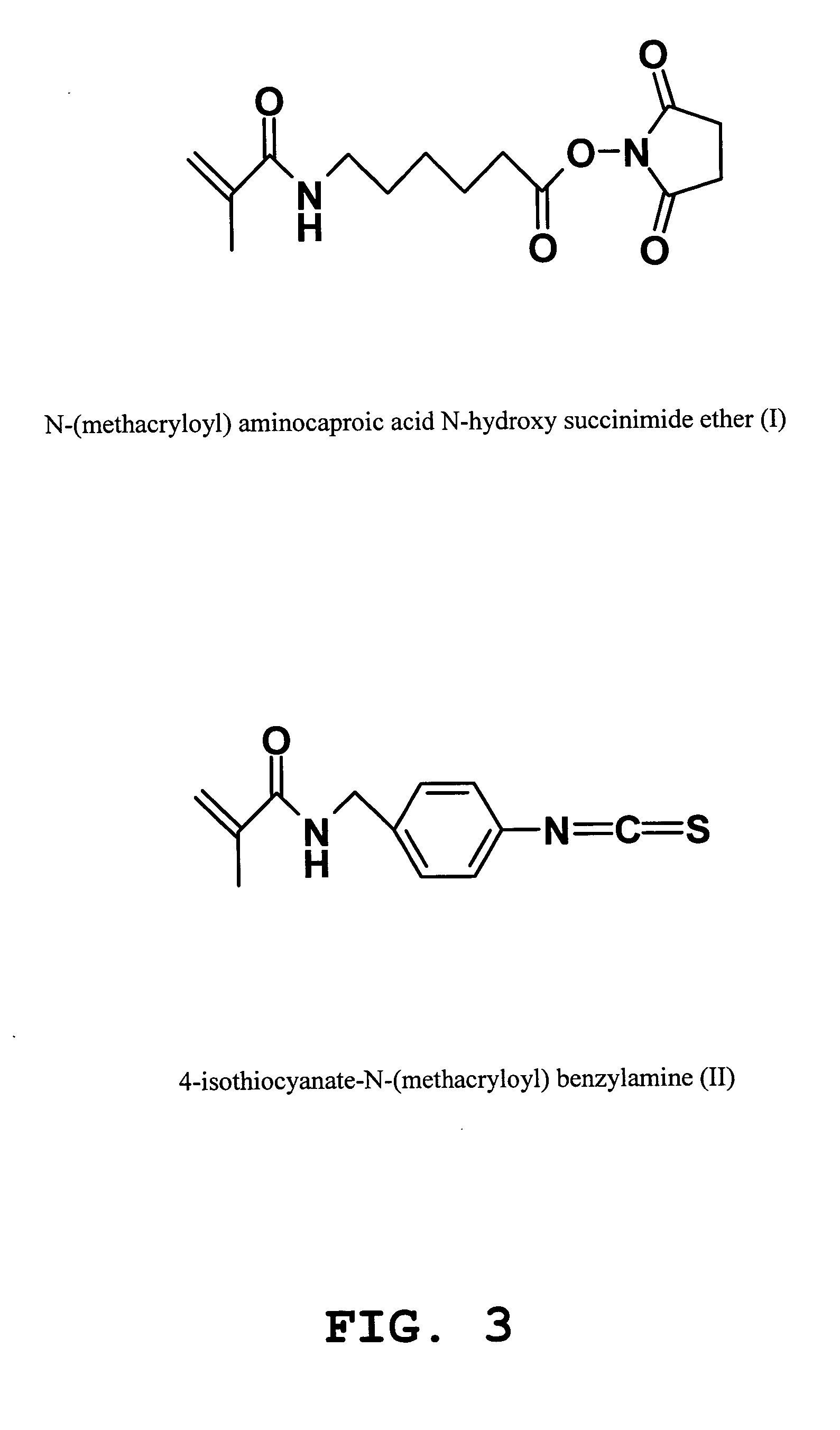 Method for fabrication of biochips with a macroporous polymer substrate