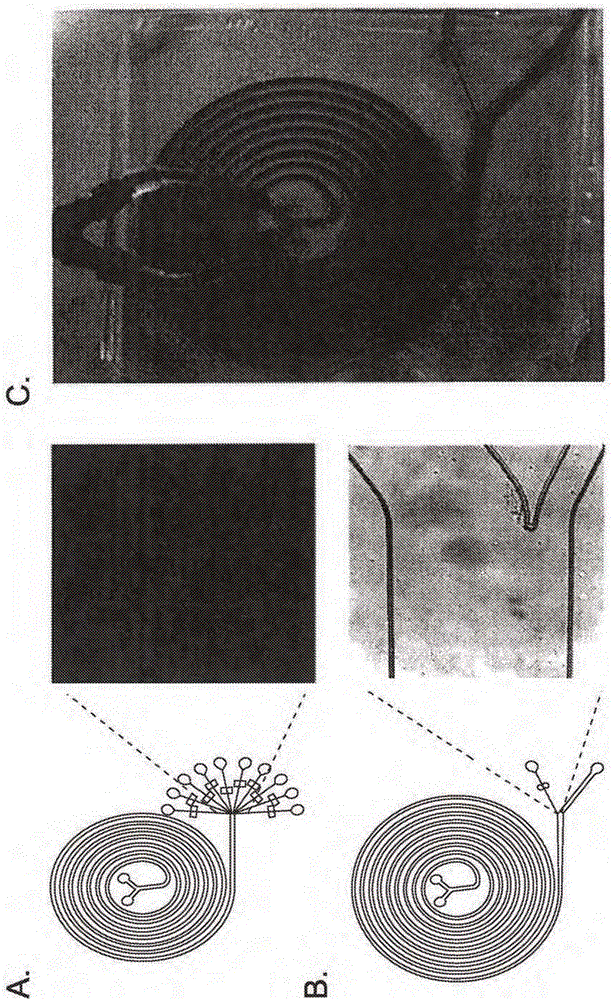 Systems, apparatus, and methods for sorting particles