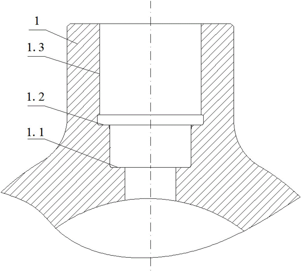 High-pressure container peep device