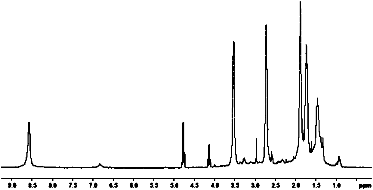 Polyester amide hot melt adhesive and preparation method thereof