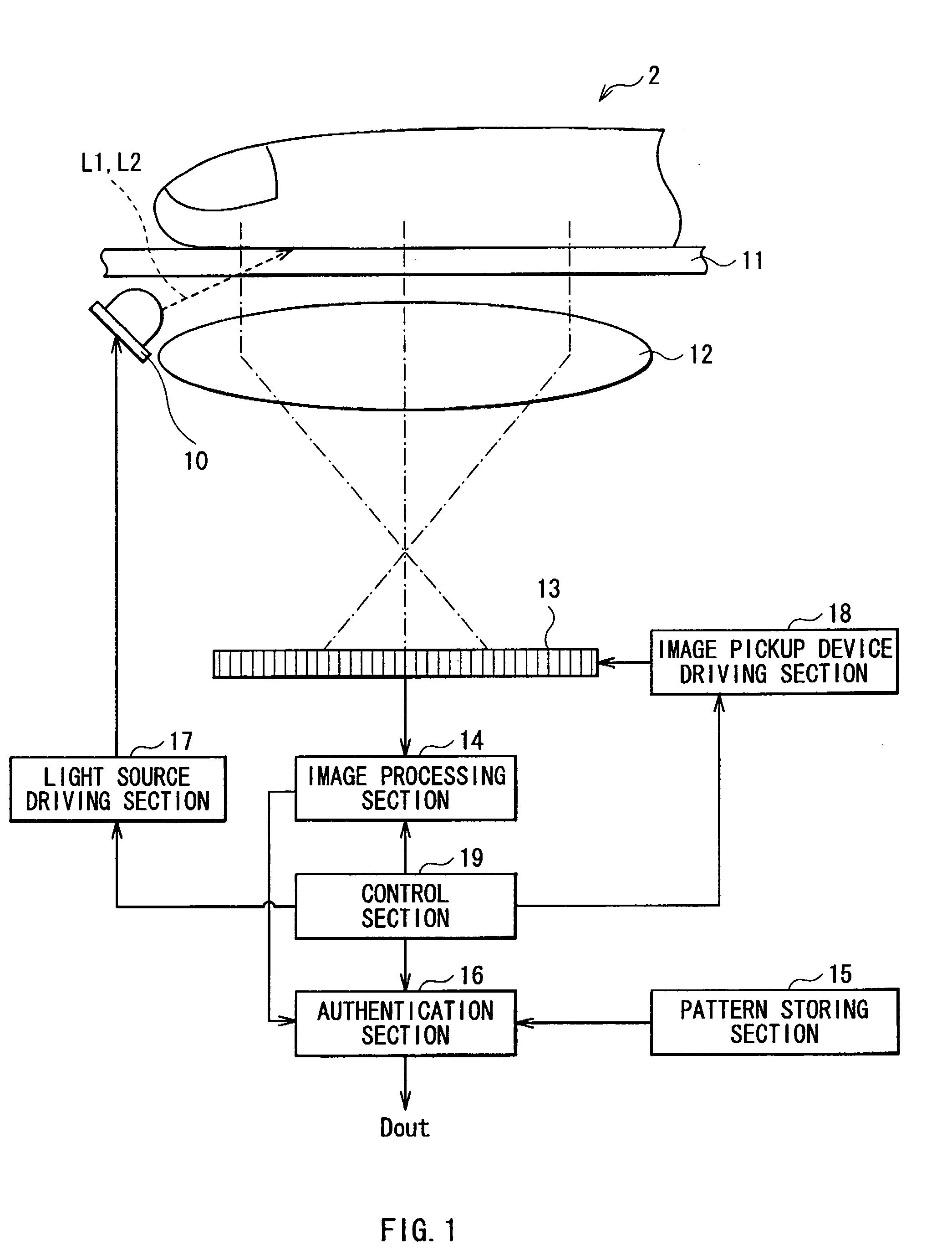 Biometric image pickup apparatus