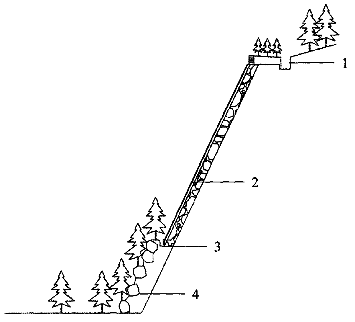 Slope reinforced structure and reinforcing method thereof