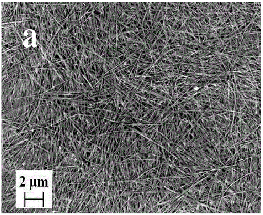 Silver-doped vanadium pentoxide nanowire, preparing method of silver-doped vanadium pentoxide nanowire and preparing method of electrochromic device