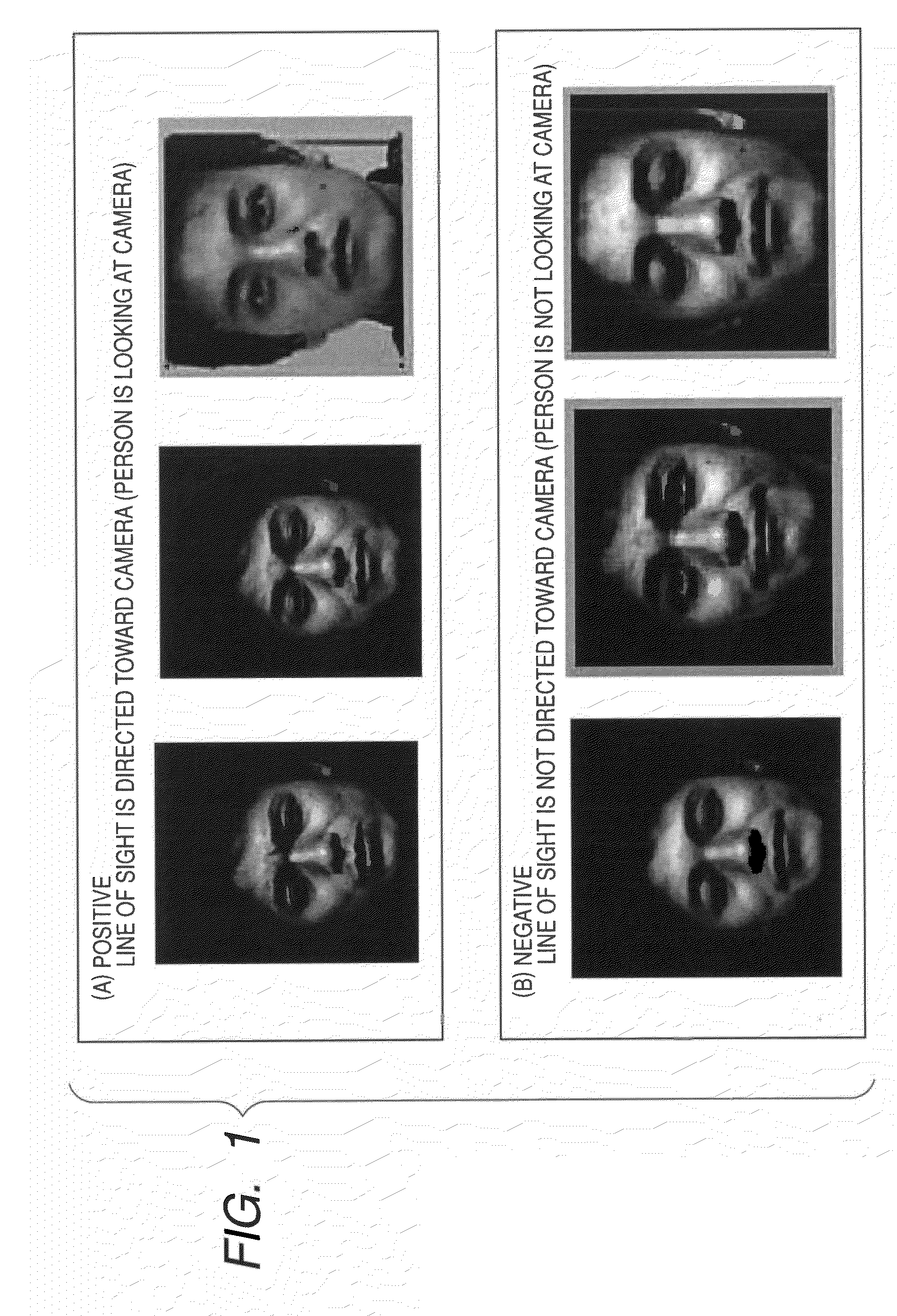 Apparatus and method for determining line-of-sight direction in a face image and controlling camera operations therefrom