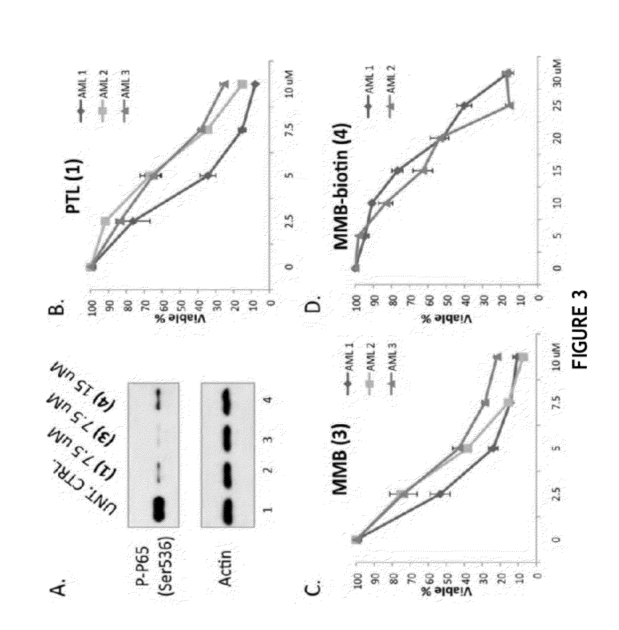 Melampomagnolide B Derivatives as Antileukemic and Cytotoxic Agents