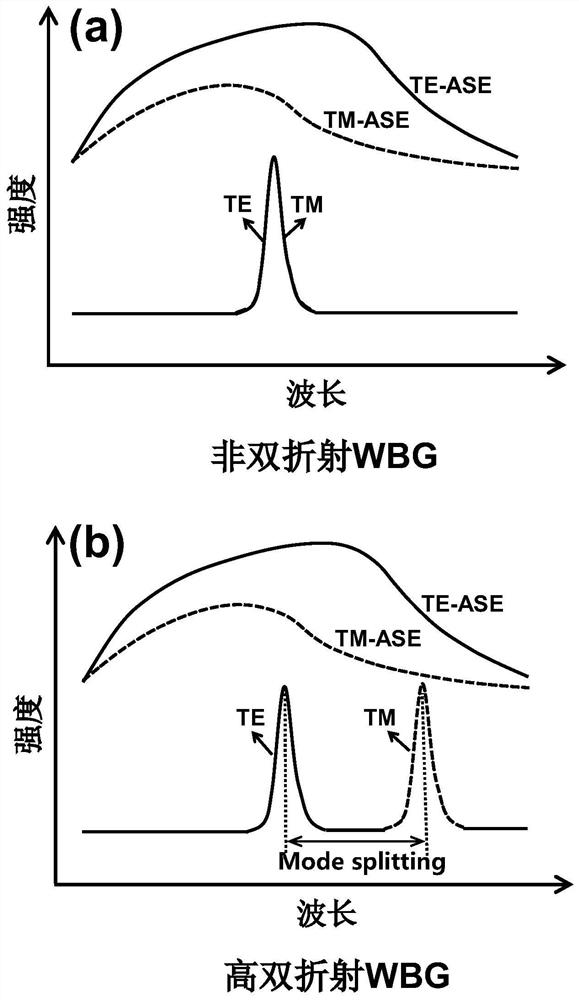 Linear polarization narrow linewidth external cavity type semiconductor laser