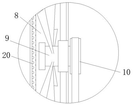 Novel culture equipment for blueberry tissue culture