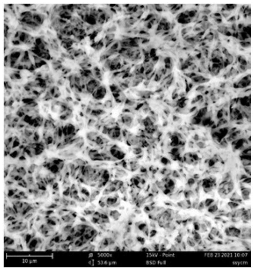 Preparation method and application of drug-loaded slow-release spider silk protein membrane