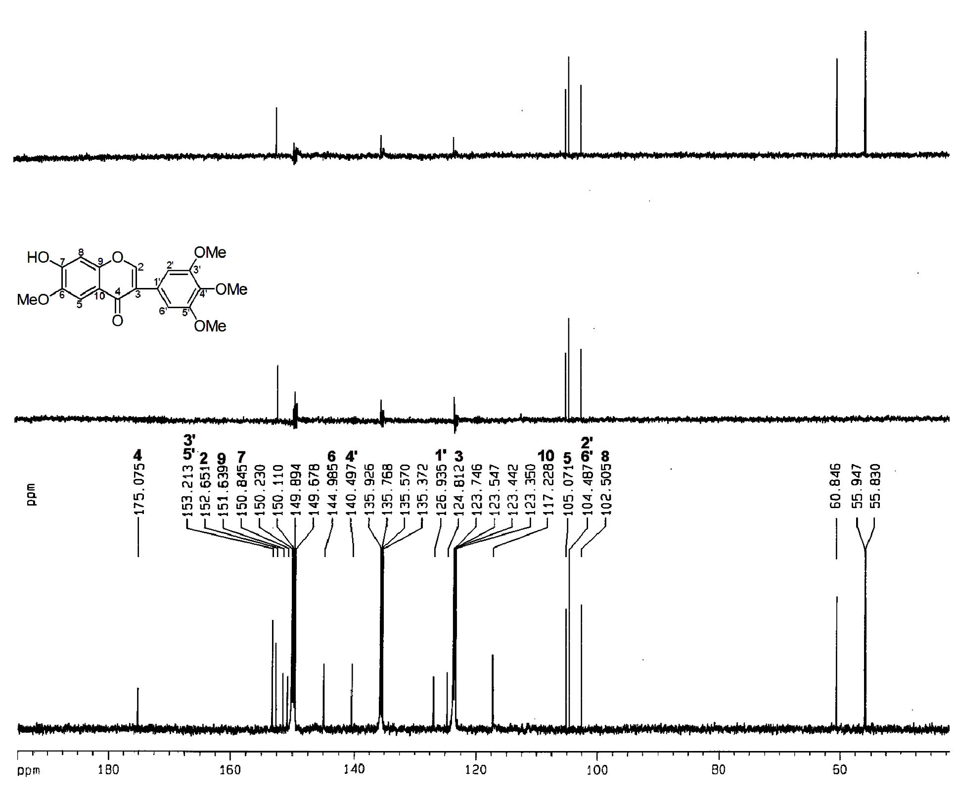 Isoflavone compound in tobacco rhizome and preparation method and application thereof