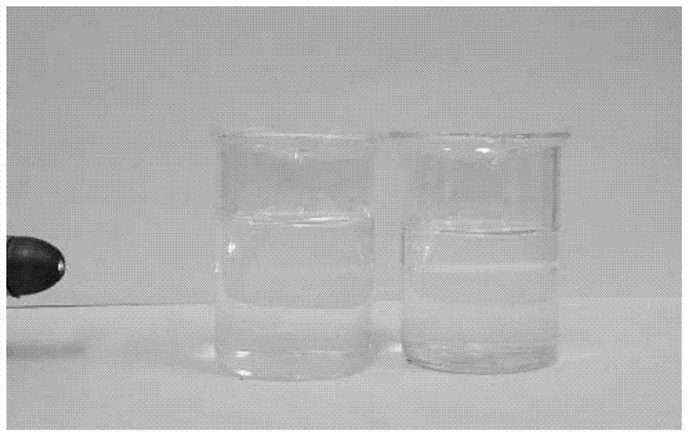 Multifunctional environmental-friendly thiamethoxam aqua and preparation method thereof