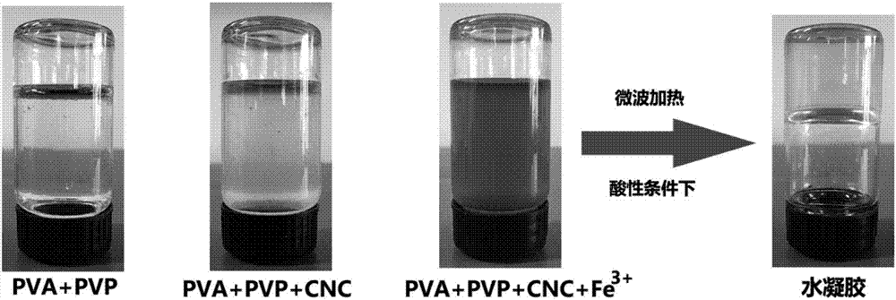 Preparation method of strain-response conductivehydrogel