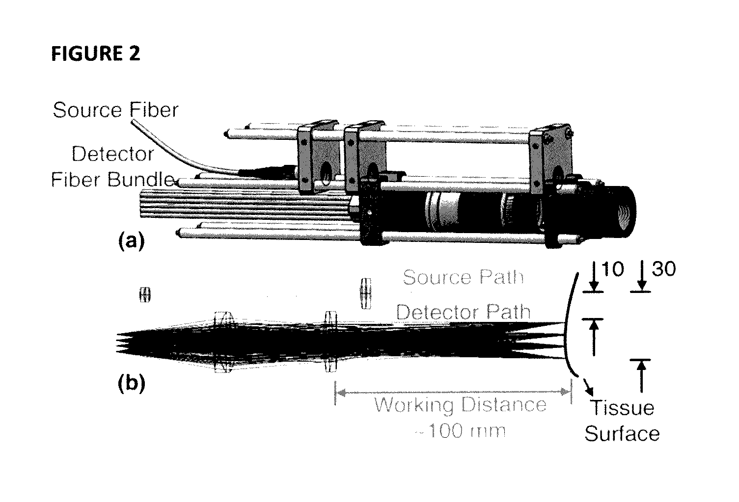 Noncontact Three-dimensional Diffuse Optical Imaging of Deep Tissue Blood Flow Distribution