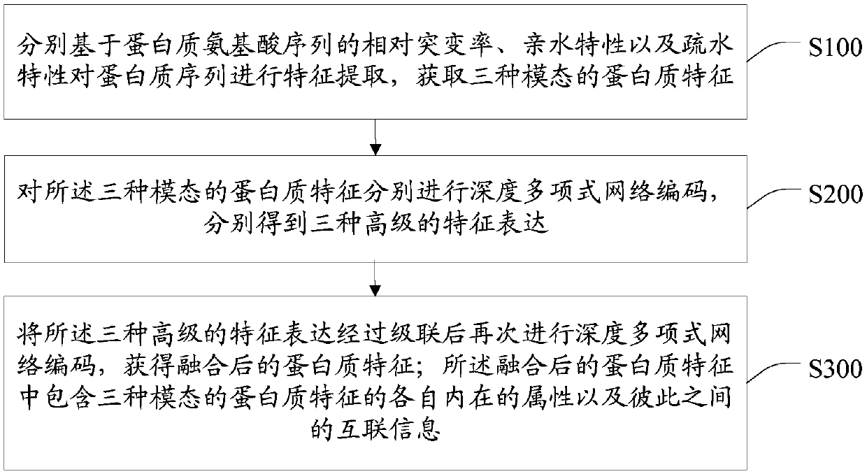 Characteristic extraction and coding method and system based on multi-modal protein sequence