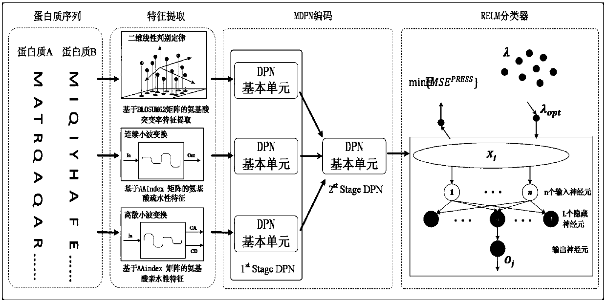 Characteristic extraction and coding method and system based on multi-modal protein sequence