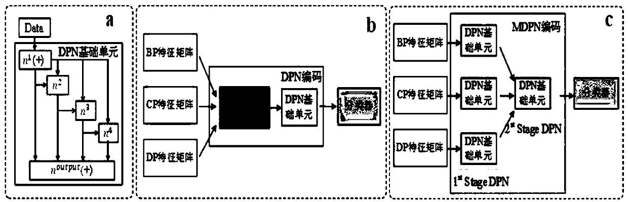 Characteristic extraction and coding method and system based on multi-modal protein sequence