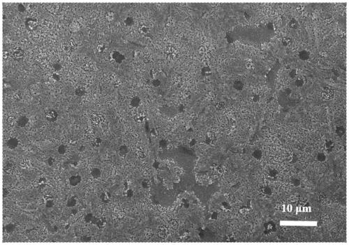 ZnO nanobelt and preparation method thereof