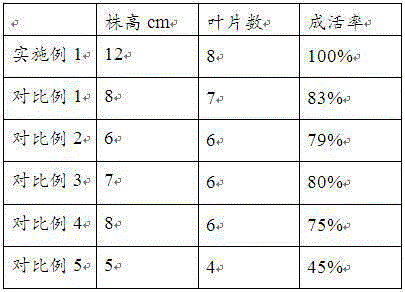 Soilless cultivation substrate formula suitable for orchid plant and dendrobium officinale cultivation and production method of soilless cultivation substrate formula