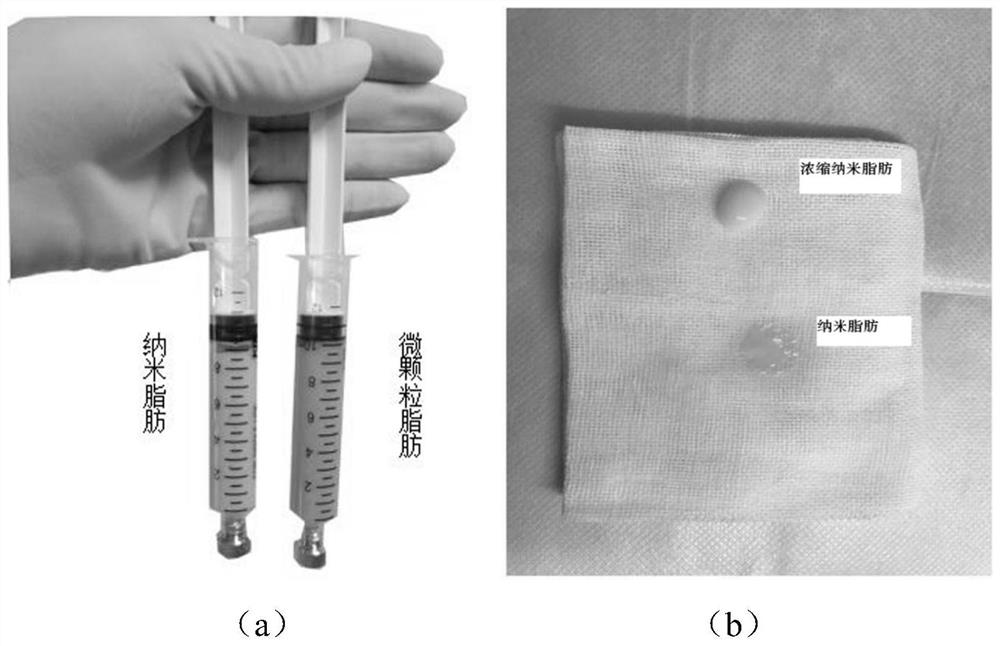 A kind of concentrated nano fat and its preparation method and application