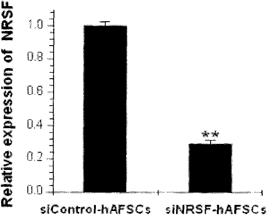 Method for inducing differentiation of stem cells into islet-like cells