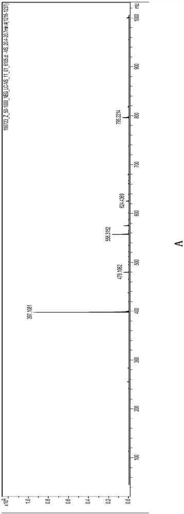 Bacillus subtilis and application thereof in degrading zearalenone