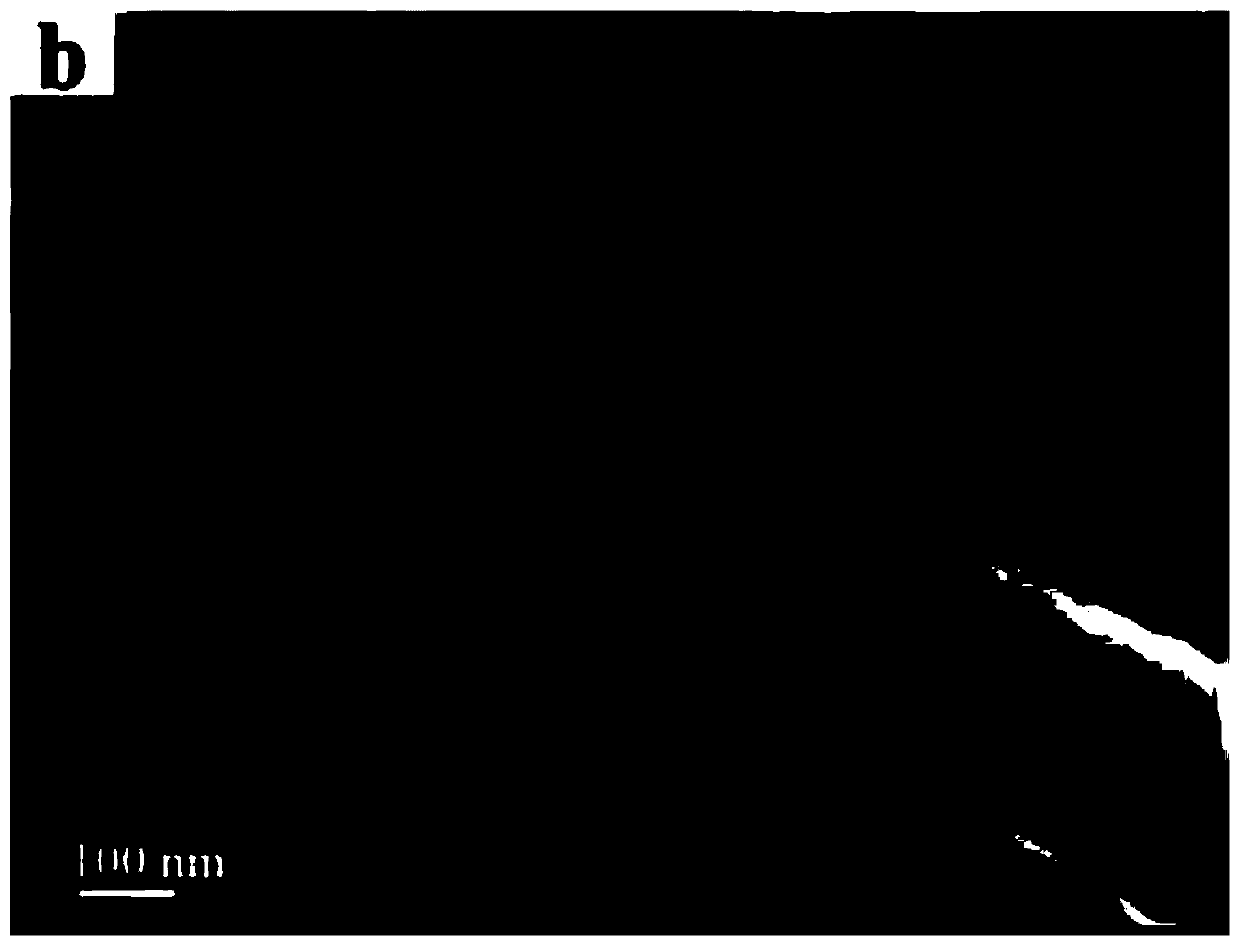 Preparation method and application of metal organic framework carbon fiber composite film