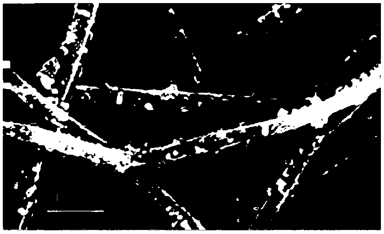 Preparation method and application of metal organic framework carbon fiber composite film