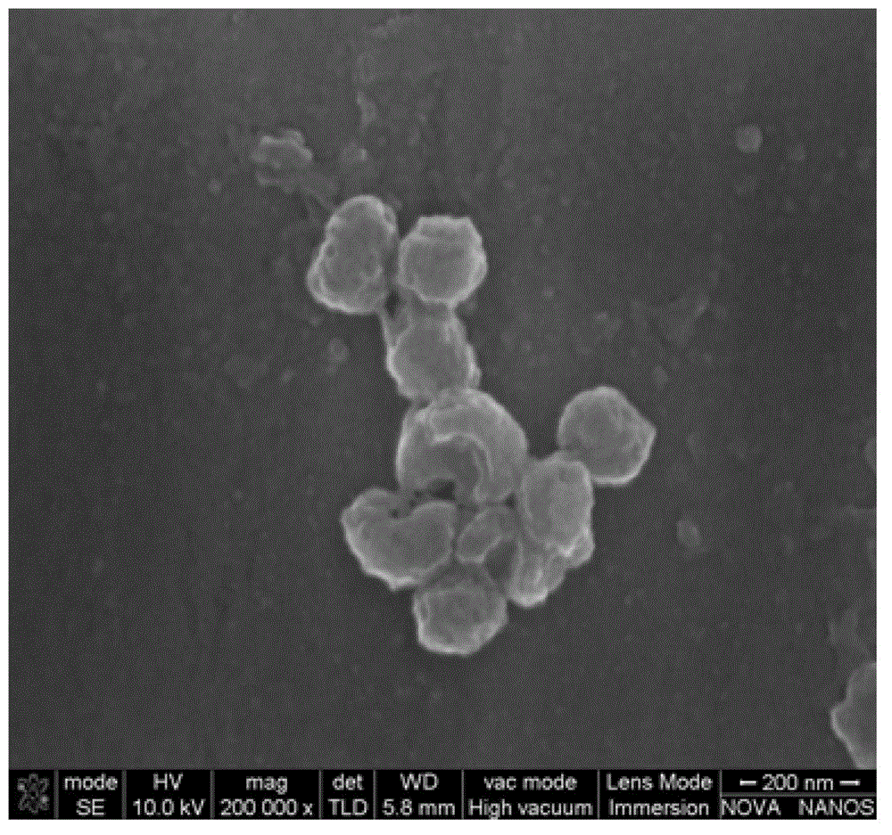 A kind of concave polyacrylonitrile nanoparticle and preparation method thereof