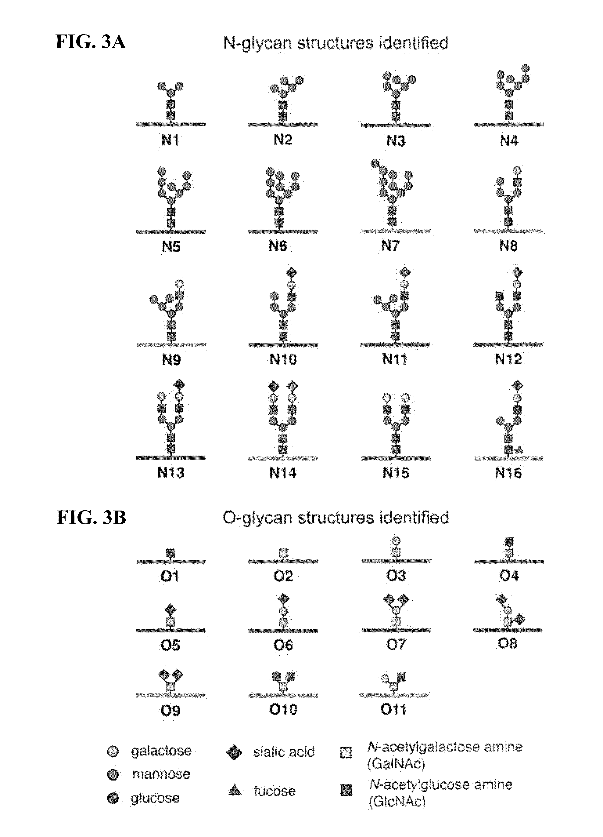 Cleavable probes for isotope targeted glycoproteomics and methods of using the same