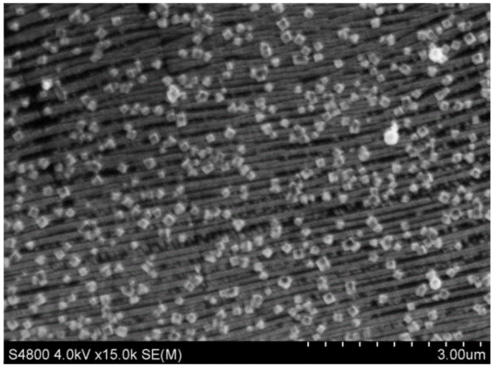 Graphene/metal composite thin film and preparation method thereof