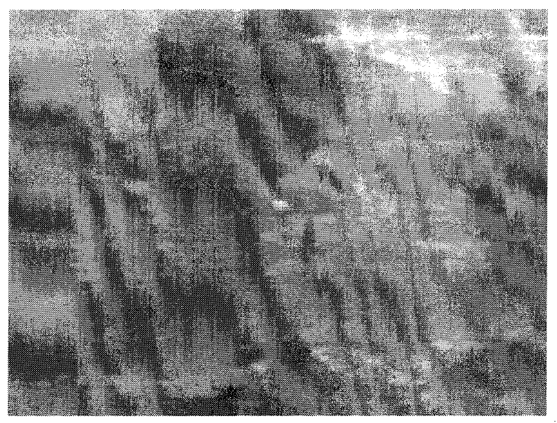 Embedded image fusion system and method based on video background detection