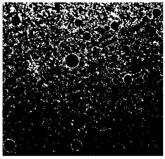 Polypeptide and nucleic acid drug nanoparticles containing same