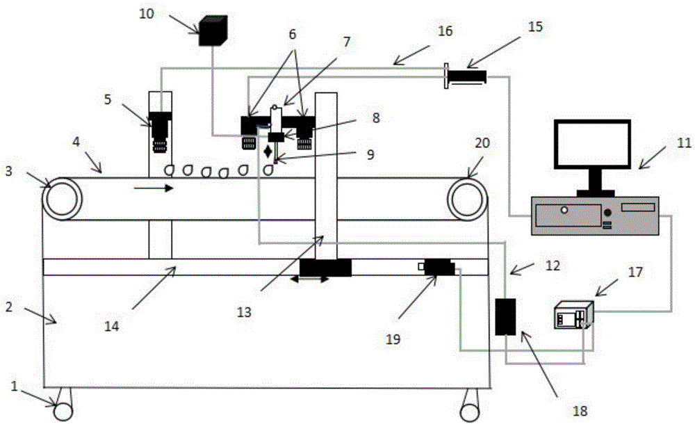 Citrus cyst foreign matter removing system based on machine vision guidance