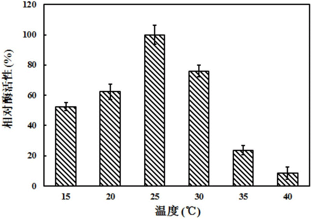 Gene for coding glutamine dipeptide biosynthetic enzyme and application thereof