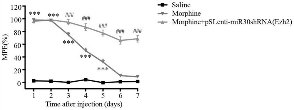 Application of inhibitor in relieving morphine tolerance