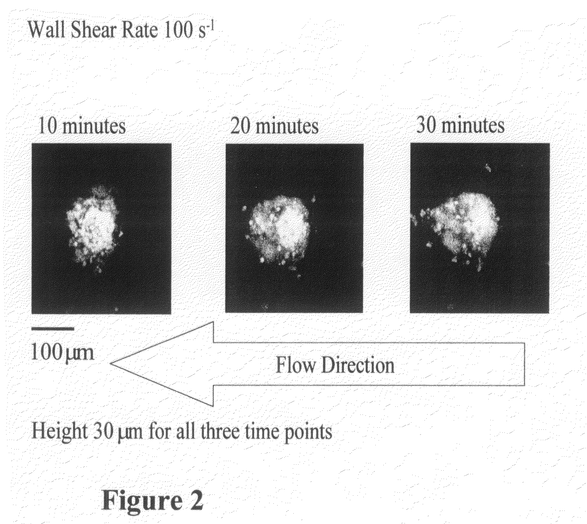 Apparatus and method to measure platelet contractility